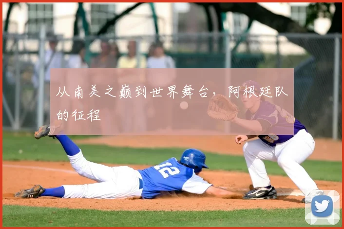 从南美之巅到世界舞台，阿根廷队的征程